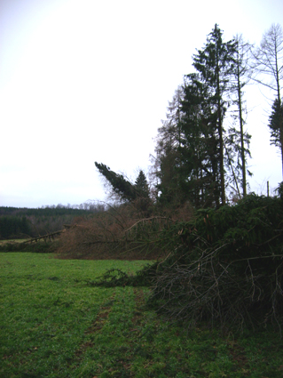 Sturmschden durch den Orkan Kyrill im Oberland in 2007