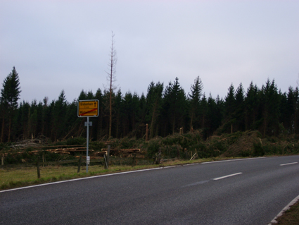 Sturmschden durch den Orkan Kyrill im Oberland in 2007