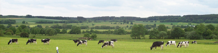 Reine Natur rund um den Kastanienhof Lichenroth